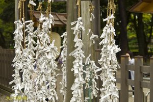 名古屋丰国神社图片