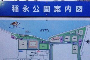 稻永公园旅游攻略