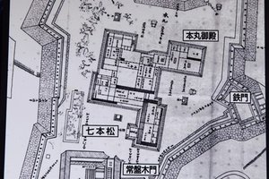 小田原城址公园图片