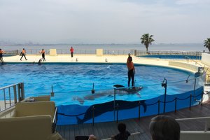 海洋世界海之中道图片
