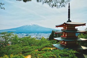 新倉山浅間神社图片