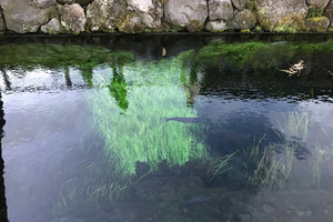 富士泉之乡水族馆旅游攻略