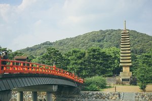 宇治公园中之岛旅游攻略