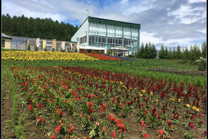 FlowerLand旅游攻略