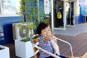 天草松岛港旅游攻略