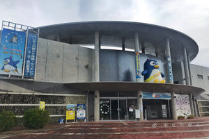 长崎企鹅水族馆图片