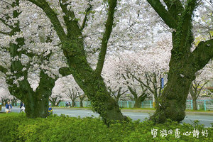 健軍自衛隊通り旅游攻略