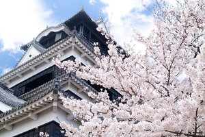 熊本城旅游攻略