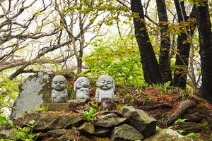 有珠善光寺和自然公园图片