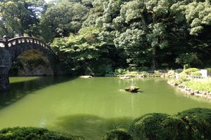 谏早眼睛桥图片