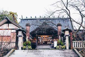 宇多须神社图片