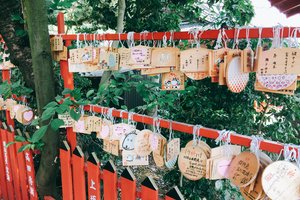 石浦神社图片