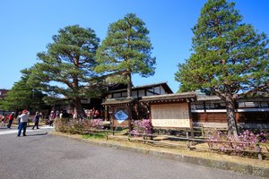 高山阵屋图片