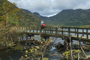 汤之湖旅游攻略