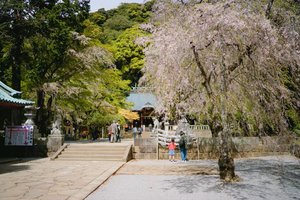 伊豆山神社旅游攻略