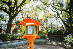 北九州市八坂神社旅游攻