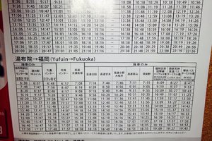 九重梦大吊桥图片