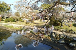 神野公园旅游攻略