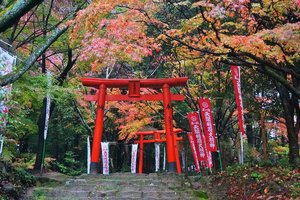 天开稻荷神社旅游攻略