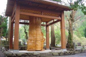 国造神社旅游攻略