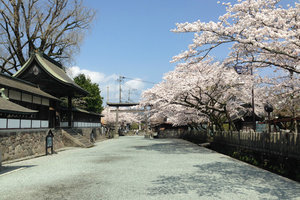 阿苏神社旅游攻略