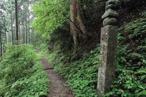 高野山町石图片