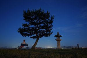 唐崎神社（唐崎夜雨）旅