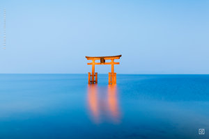 白须神社图片