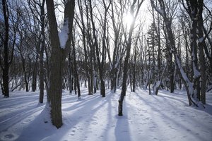 少女眼泪瀑布旅游攻略