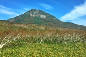 知床峠旅游攻略