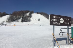 草津国际滑雪场旅游攻略