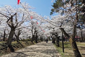 千秋公园旅游攻略