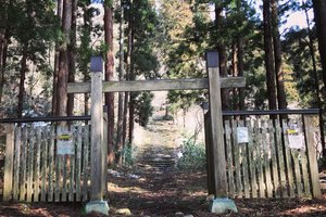 松平家墓地图片
