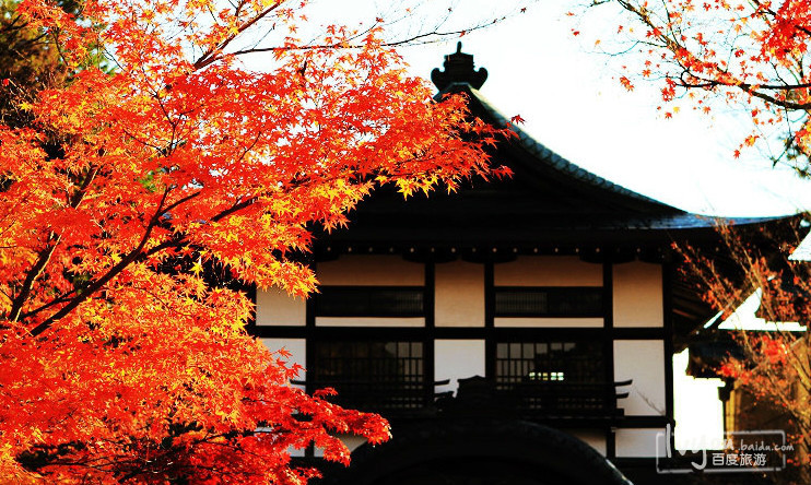 日本京都永观堂禅林寺 日本京都永观堂禅林寺