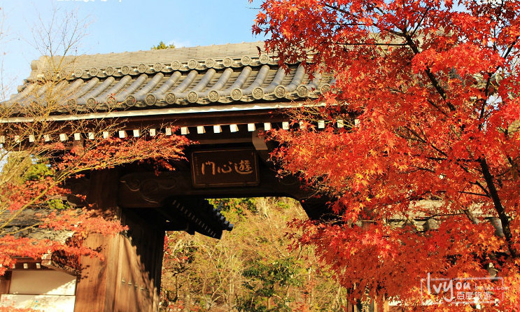 日本京都永观堂禅林寺 日本京都永观堂禅林寺