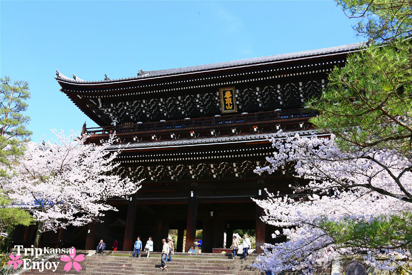 京都知恩院 京都知恩院
