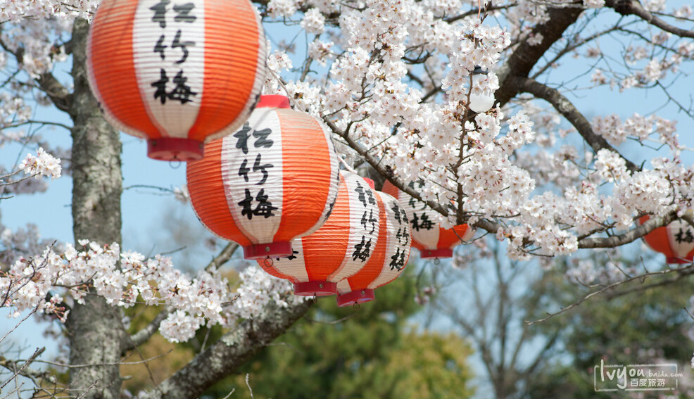 京都圆山公园