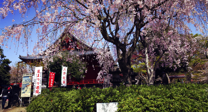 东京上野公园攻略