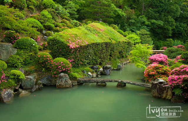 京都智积院 京都智积院