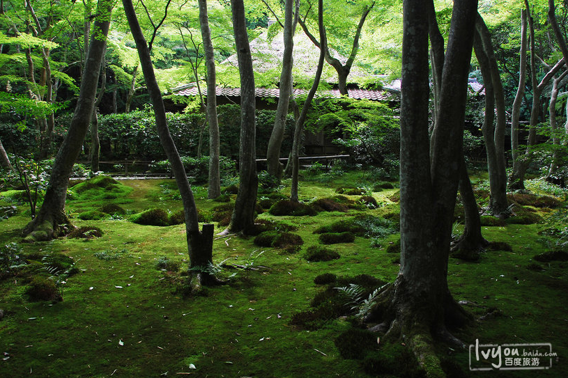 京都祇王寺