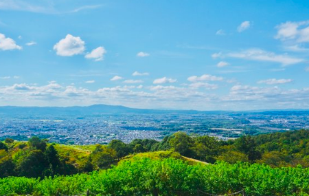 奈良若草山