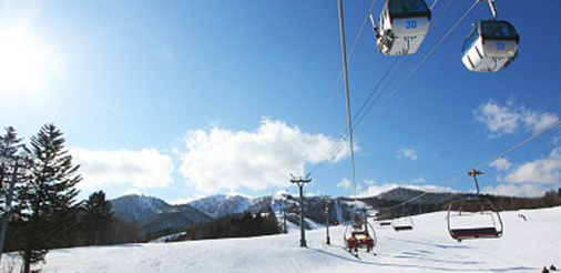 富良野滑雪场