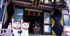 日本东京求姻缘的神社