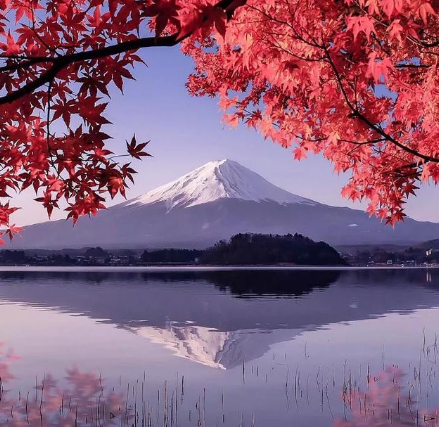 富士山 富士山