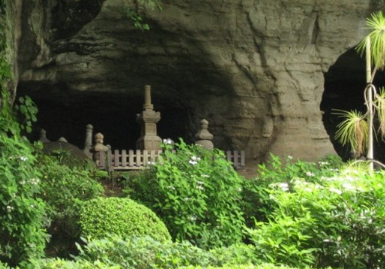 镰仓报国寺旅游