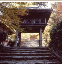 山口龙蔵寺