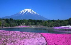 富士山静冈机场