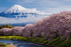 日本静冈天气